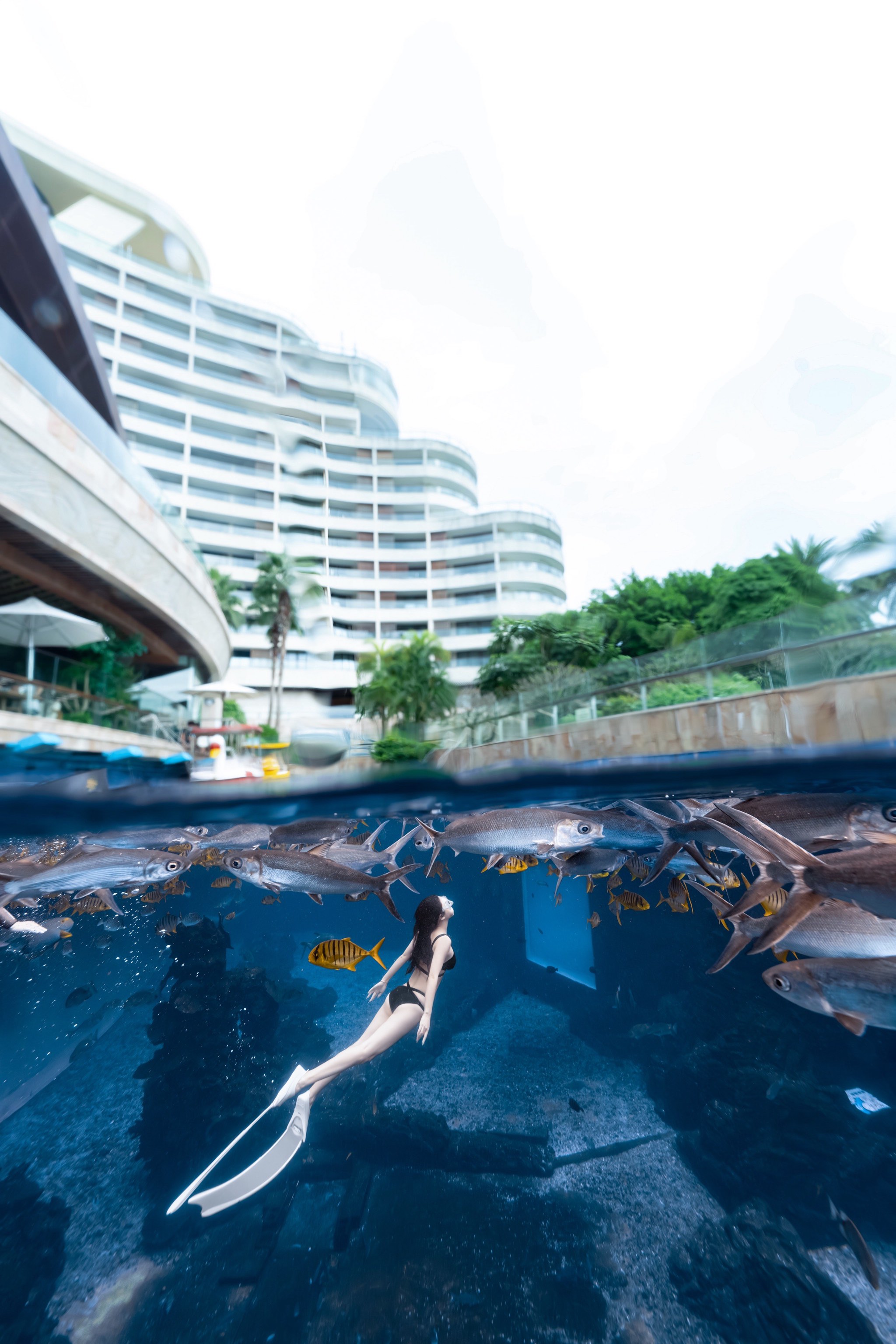 水底漫步体验,探索奇妙的海底世界 水底漫步体验,探索奇妙的海底世界