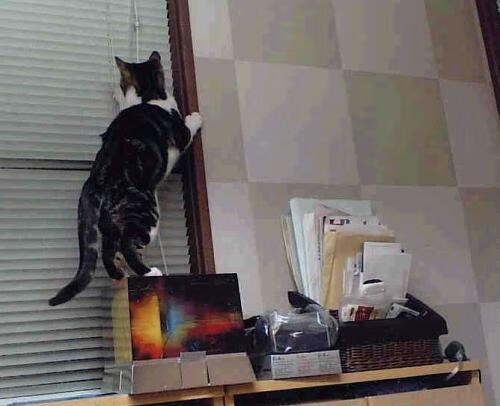 _极速决战：三盘激战，精彩纷呈_，极速决战电视剧