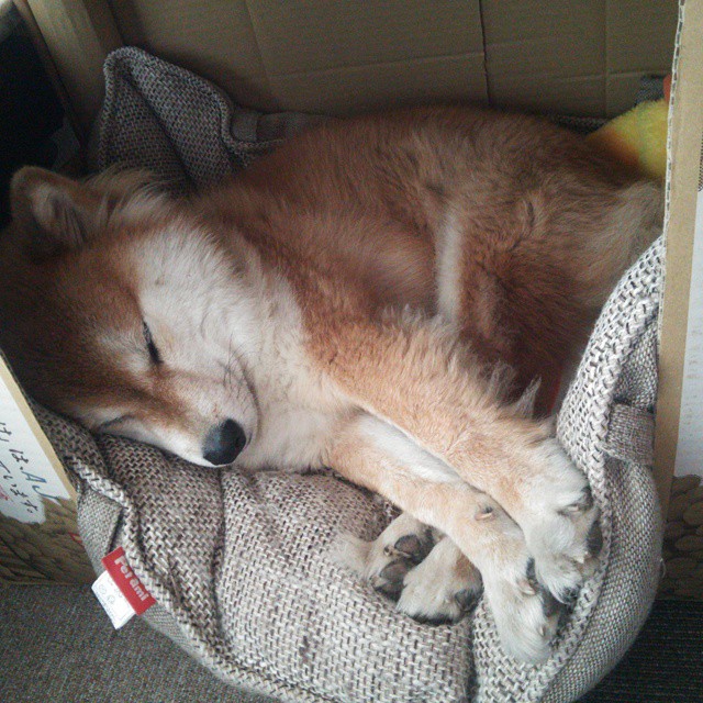 以足球文化大发展助推区域经济一体化发展，足球文化传承