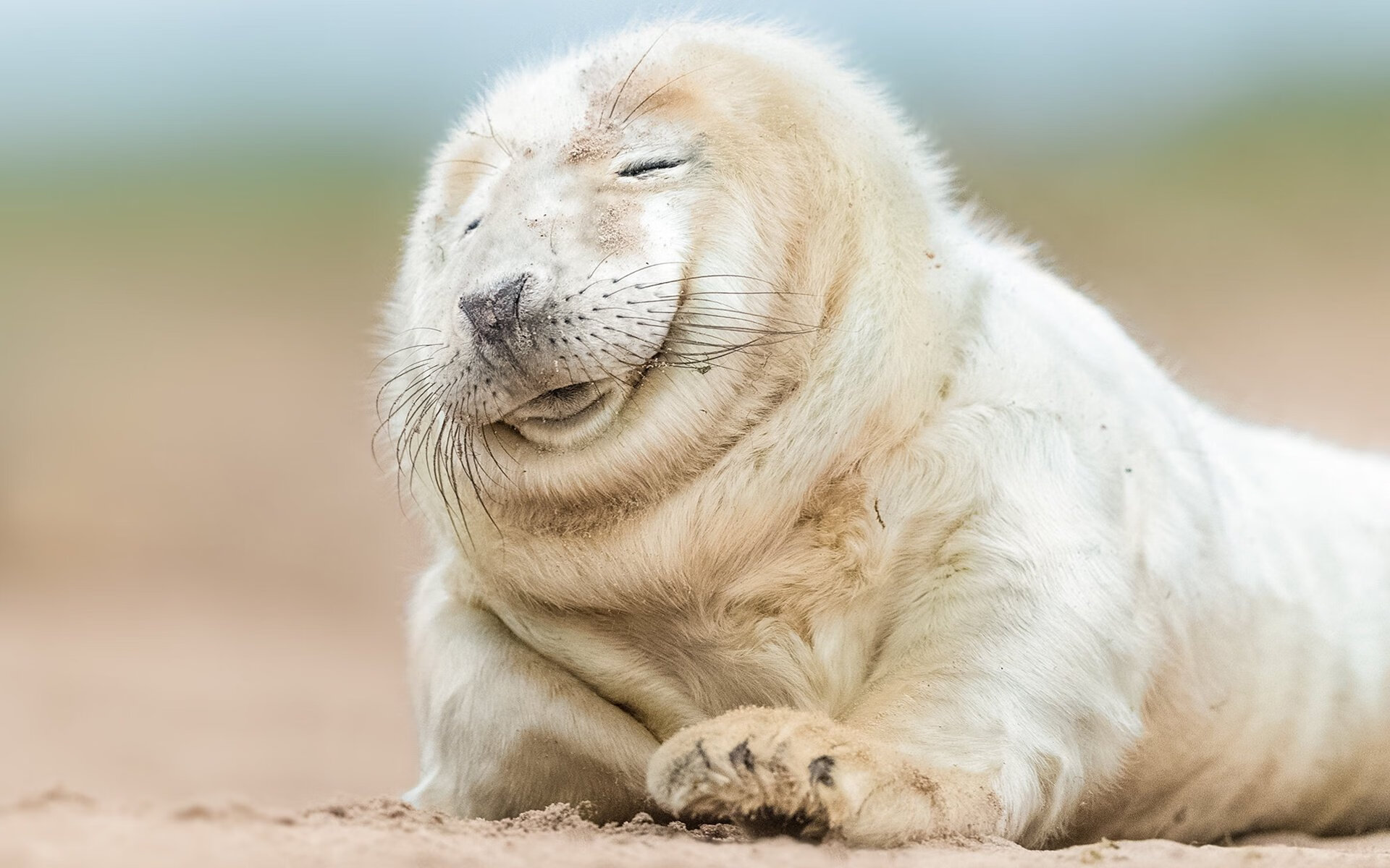 德甲精彩瞬间:关键扑救阻击对手反攻,战术变化层出不穷,德甲扑救榜