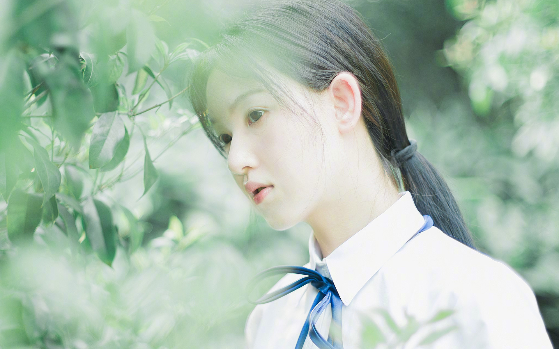 热门战术:联盟中最具影响力的策略堆叠