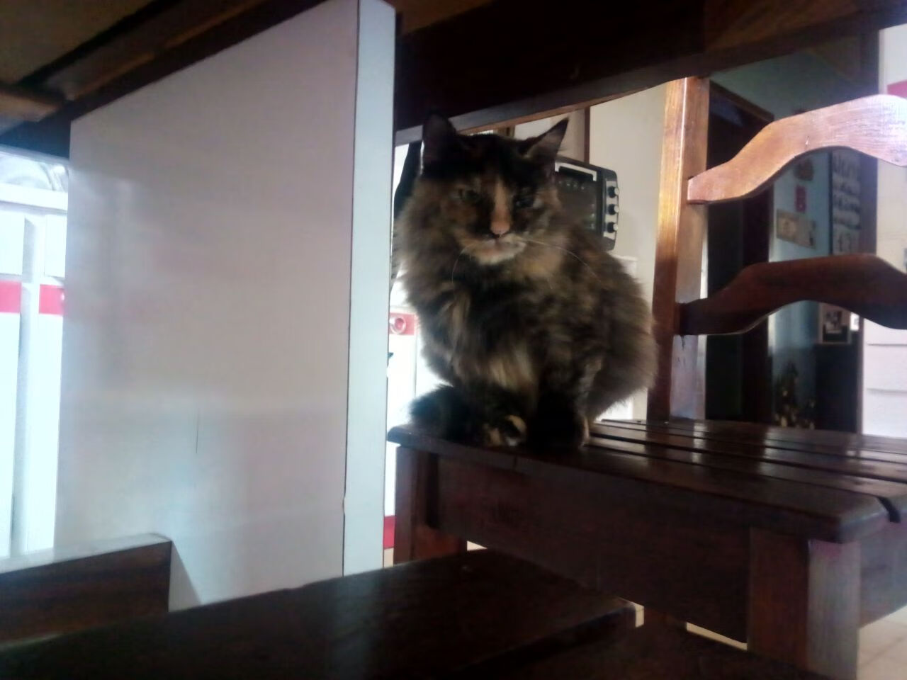 T1教练组战术创新引关注,t1战队主教练