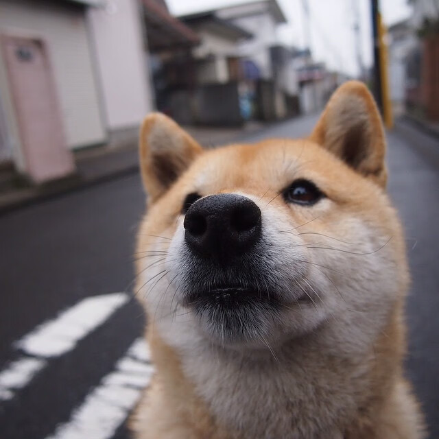 RNG.M季后赛冲刺状态爆棚，rngm季前赛