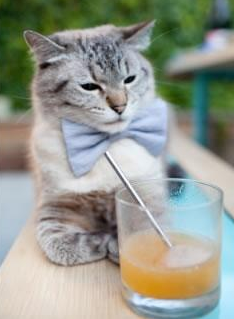 梅斯球队在一场对决中赢得胜利,取得积极进展,梅斯比赛视频聚胜顽球汇