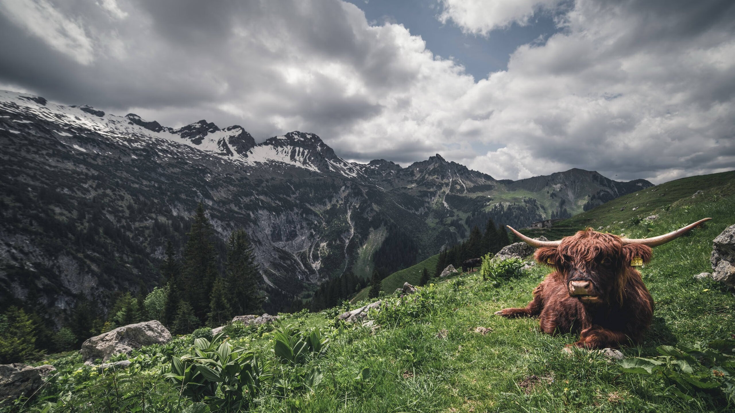 电竞产业投资持续增长，电竞产业投资持续增长趋势