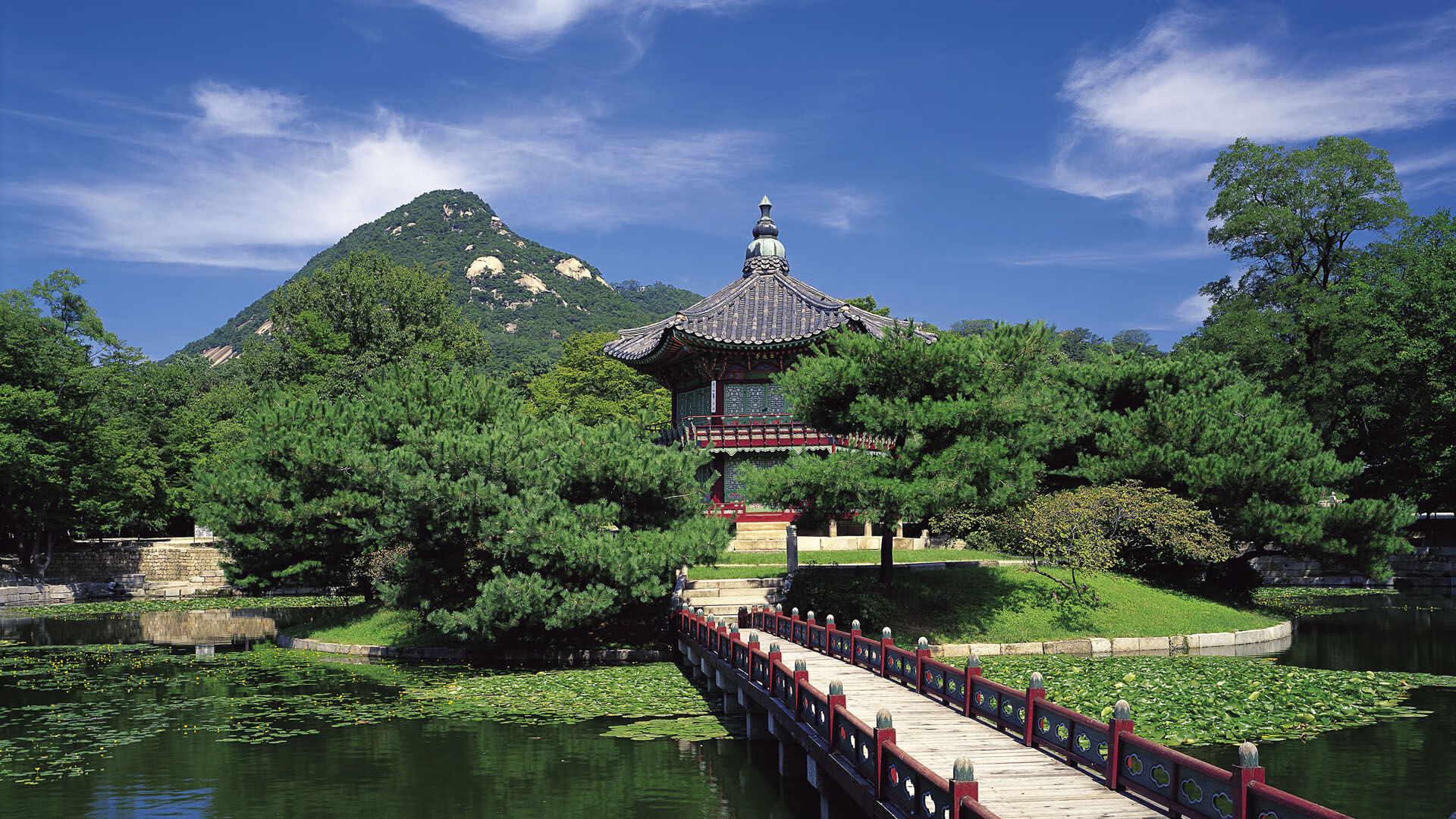 维达德卡萨布兰卡签约新医疗团队,提升球员健康管理,卡维达现状