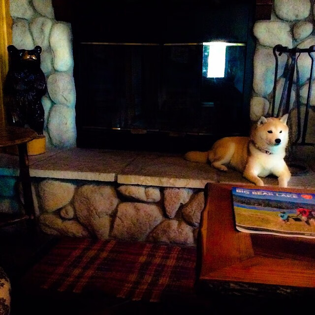 维达德卡萨布兰卡在国内联赛中稳居前四,卡萨布兰卡 视频