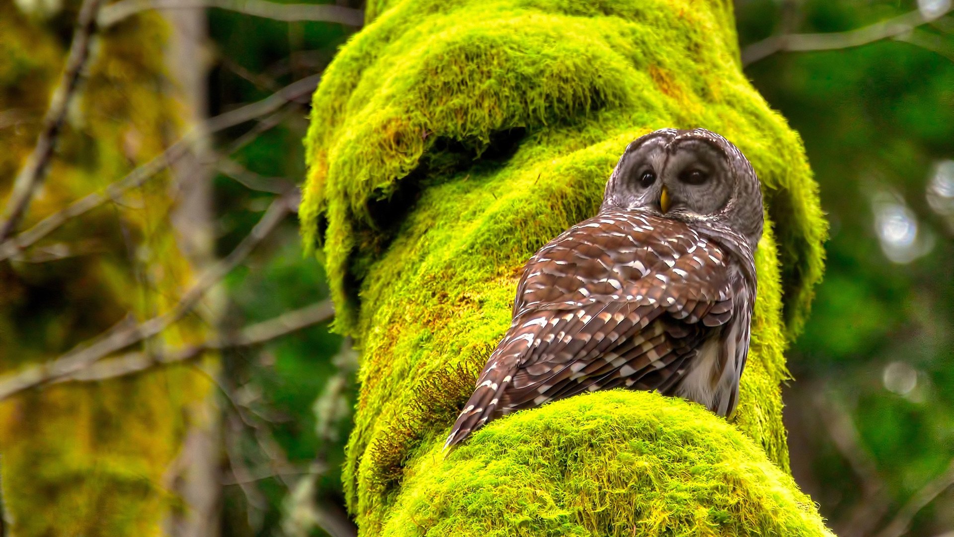 体育赛事场地合规性评估指标体系设计,体育赛事评估报告怎么写