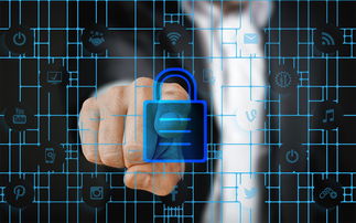 体育特许经营管理制度构建与案例研究，体育行业特有职业培训试点单位