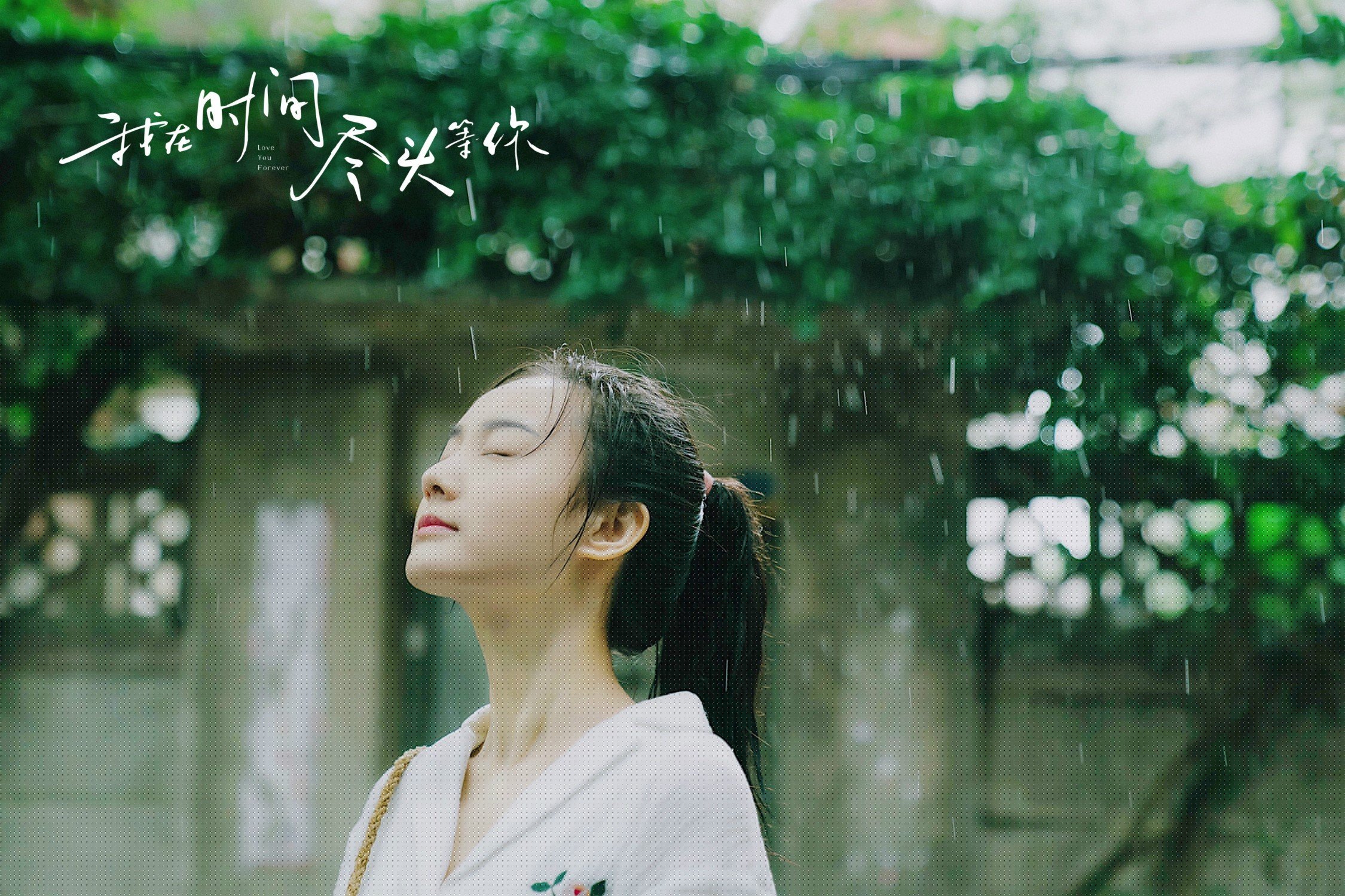 高校运动训练动态管理机制研究,运动训练过程调控与参赛指导