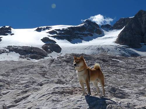 200蛙与100蛙节奏差异图解,100蛙决赛
