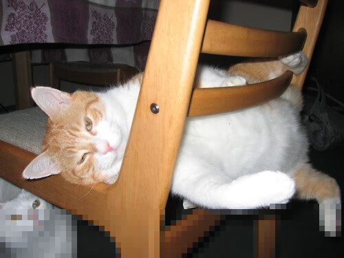 五大联赛中卫越位造陷阱执行效率是否下降,中后卫如何造越位