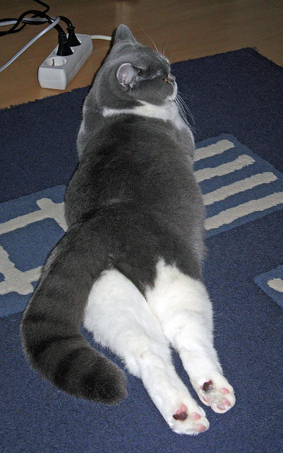 维拉控制比赛节奏减少不必要犯规,维拉主q