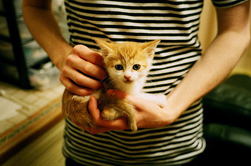 女子国家队设立多维能力评估机制科学选拔阵容