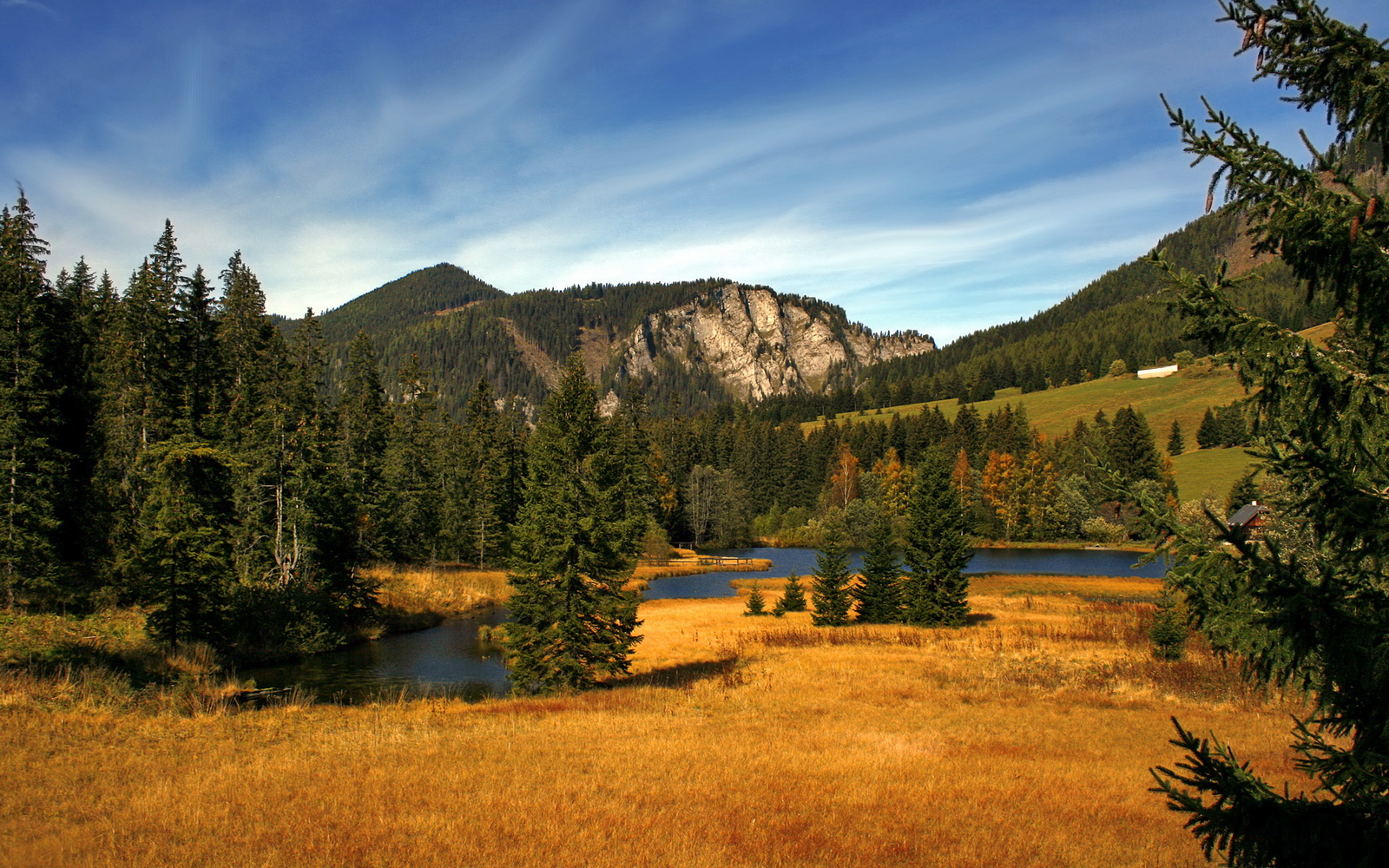 蝶泳赛后佩拉卡尼点赞陈佳速度
